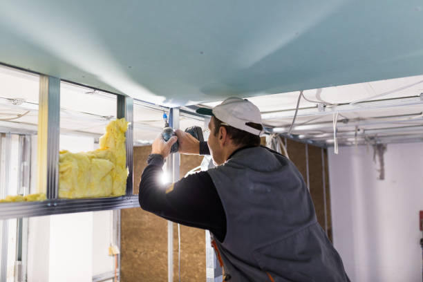 Best Energy Efficiency Insulation in Mentone, CA