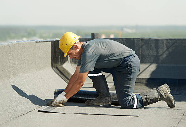 Best Cellulose Insulation in Mentone, CA