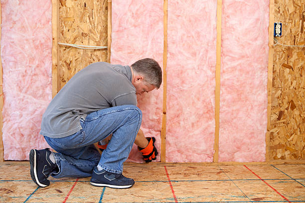 Best Eco-Friendly Insulation in Mentone, CA