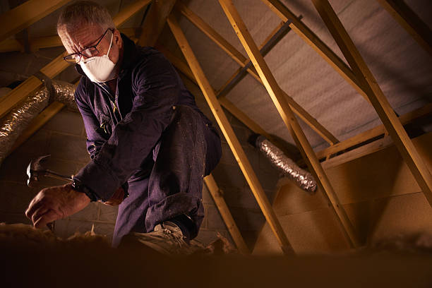 Best Insulation Maintenance and Repair in Mentone, CA